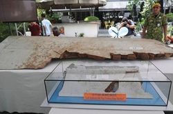 Vụ MH 370: Yêu cầu nhà làm phim gỡ bỏ những nội dung không phù hợp