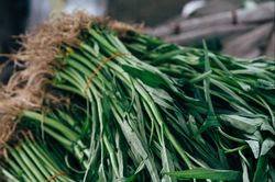 Nhiều người ở phía nam bị áp xe gan do ăn rau sống nhiễm sán