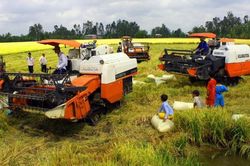 Xây dựng diễn đàn chia sẻ mô hình HTX thích ứng với biến đổi khí hậu