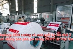 Indonesia khởi xướng rà soát cuối kỳ lần thứ 2 thuế chống bán phá giá màng BOPP từ Việt Nam