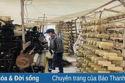 Quảng Xương duy trì, phát triển nghề sản xuất chiếu cói