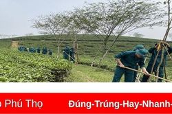 Trung Giáp xây dựng điểm du lịch quảng bá hình ảnh