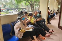 Người dân rồng rắn xin lý lịch tư pháp, Hà Nội ra chỉ đạo nóng