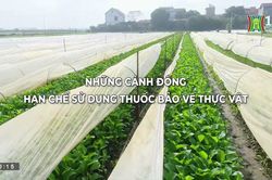 Nông nghiệp nông thôn (ngày 06/04/2023)