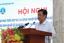 Phát triển hợp tác xã nông nghiệp bền vững vùng đồng bằng sông Cửu Long
