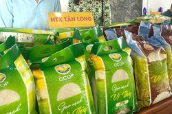 Cần hỗ trợ hợp tác xã và người dân trong chuyển đổi sản xuất nông nghiệp thích ứng với biến đổi khí hậu
