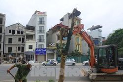 Trồng mới hàng cây xanh trên đường Huỳnh Thúc Kháng kéo dài