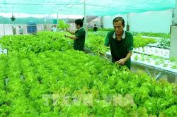 Định hướng phát triển hợp tác xã nông nghiệp Đồng bằng sông Cửu Long