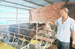 3 cha con vượt lên chính mình để làm giàu