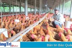 Nông dân Gio Linh nỗ lực xây dựng quê hương