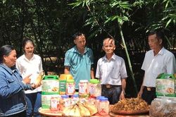 'Bà đỡ' cho tăng trưởng kinh tế tập thể, HTX ở Bắc Giang