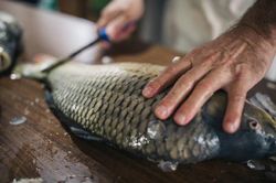 Bí quyết giúp tẩy mùi tanh trên tay sau khi chế biến hải sản