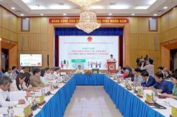 Phát triển kinh tế tập thể, hợp tác xã