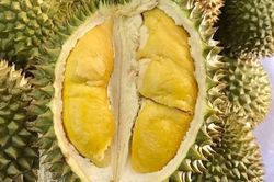 Mất chục triệu đồng vì chiêu lừa đảo sầu riêng giá rẻ 30.000 đồng/kg