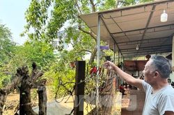 Dân khốn khổ trong căn nhà cũ nát vì dự án đường 15 năm vẫn nằm trên giấy