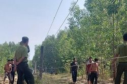 Voi rừng tấn công người dân ở Đồng Nai