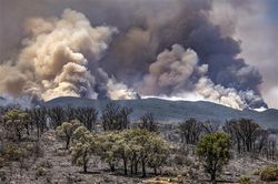 Lượng khí thải CO2 tăng mạnh do cháy rừng ở Bắc bán cầu