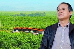 Hoàng Anh Gia Lai (HAG): Năm thứ 10 không chia cổ tức, mục tiêu lãi ròng 'khiêm tốn' hơn 1.100 tỷ đồng