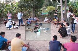 Công an Trà Vinh bắt 21 người tụ tập đá gà ăn thua bằng tiền
