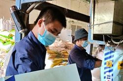 Phân bón Bình Điền 'cài số lùi' lợi nhuận, dự báo tiếp tục gặp khó