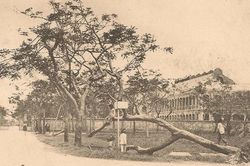 Ảnh = Ký ức = Lịch sử (kỳ 65): Những trận bão hơn 1 thế kỷ trước