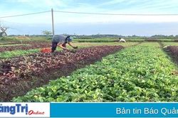 Huy động trí tuệ, tâm huyết của hội viên nông dân góp ý sửa đổi Luật Đất đai