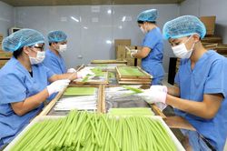 Xây dựng và quản lý thương hiệu sản phẩm OCOP: Đừng để thành 'bài toán khó'!