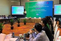 Bao bì bền vững-mắt xích quan trọng trong nền kinh tế tuần hoàn