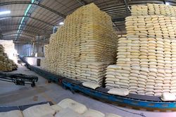 Xuất cấp hơn 56.700 tấn gạo dự trữ hỗ trợ người dân và học sinh trong quý I/2023