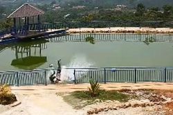 Kinh hoàng cảnh xe máy đâm bung lan can sắt, 2 người rơi xuống hồ nước tử vong
