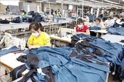 Nguyên nhân nào khiến dệt may Việt Nam gặp khó?