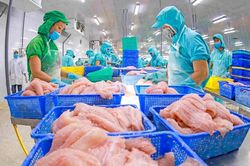 Kim ngạch xuất khẩu quý II sẽ quyết định mục tiêu cả năm 2023