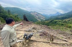 Tuần Giáo xử phạt hành chính 4 cá nhân phá rừng làm nương