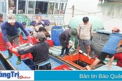 Vụ cá Nam khởi đầu thuận lợi