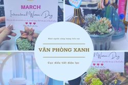 Cục Điều tiết điện lực: Văn phòng sáng - xanh - sạch, khơi nguồn năng lượng tích cực