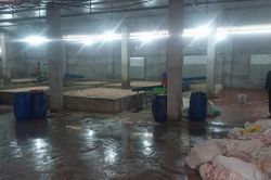Phát hiện, tiêu hủy hơn 7 tấn lòng lợn bốc mùi hôi thối