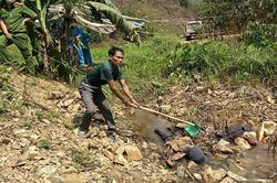 Giết con rể rồi ném xác xuống suối