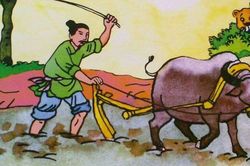 Chữ và nghĩa: 'Chân lưng' có giống chân trời?
