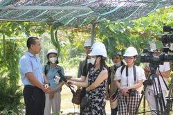 Tổ chức Cuộc thi viết, phóng sự cấp quốc gia về điển hình tiên tiến, gương 'người tốt, việc tốt'