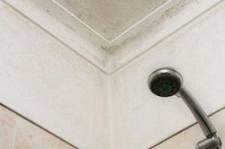 Mách bạn mẹo hay để loại bỏ nấm mốc trên trần nhà tắm