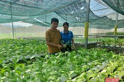 Góp phần xây dựng nền nông nghiệp địa phương phát triển