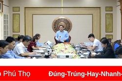 Kiểm tra tiến độ triển khai Cuộc thi sáng tạo thanh thiếu niên, nhi đồng tỉnh tại Tân Sơn, Tam Nông