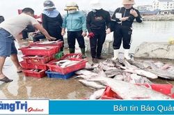 Đảm bảo an toàn thực phẩm, nâng cao chất lượng nông, lâm, thủy sản để phát triển bền vững