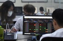 Chứng khoán hôm nay (12/4): Thị trường giằng co, VN-Index biến động trong biên độ hẹp