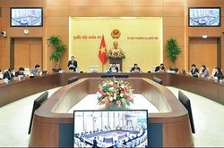 Chỉ quy định trong luật khi có đầy đủ cơ sở, căn cứ thuyết phục