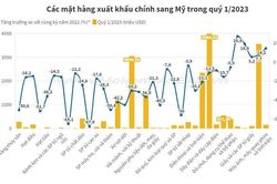 Việt Nam xuất siêu 17,7 tỷ USD hàng hóa sang Mỹ