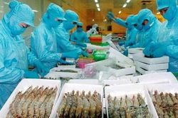 Hàng Việt Nam đã có chỗ đứng nhất định tại thị trường Australia