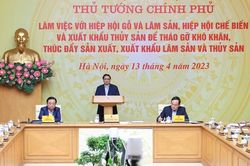 Thủ tướng chủ trì hội nghị tháo gỡ khó khăn, thúc đẩy sản xuất, xuất khẩu lâm sản, thủy sản