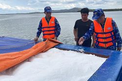 Xử lý tàu chở 520 tấn phân đạm URE không rõ nguồn gốc