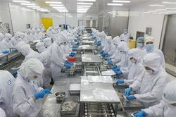 Vượt Mỹ, Nhật Bản giành vị trí số 1 về nhập khẩu thủy sản Việt Nam